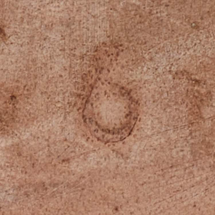 Pre Owned Gina Grey Leather Loren Crystal Embellished Flat Slide Sandals Size 39