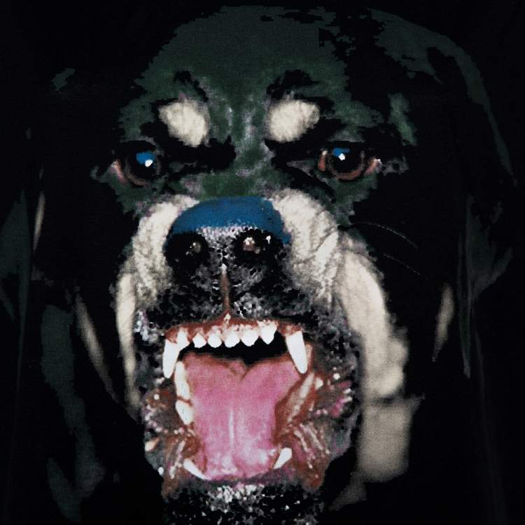 Pre Owned Givenchy Black Rottweiler Print Sleeveless T-Shirt XS 