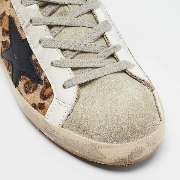 Pre Owned Golden Goose Multicolor Leopard Print Calf Hair Superstar Sneakers Size 36
