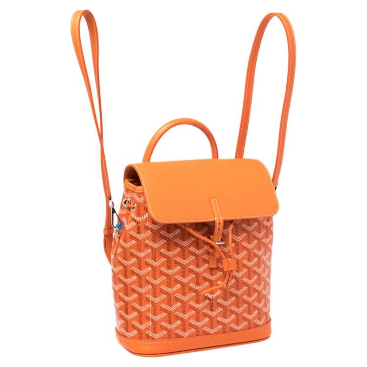 red goyard backpack
