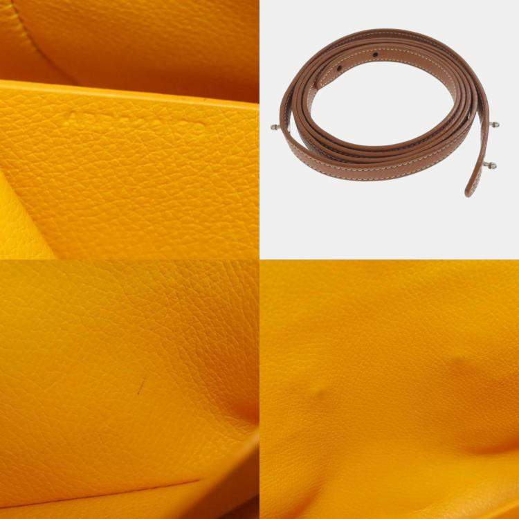 Pre Owned Goyard Saigon Mini Handbag In Coated Canvas And Calfskin Leather