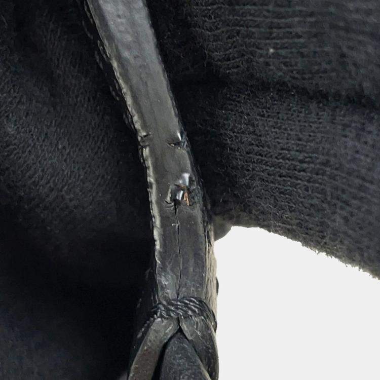 Pre Owned Goyard Pet Carrier Bag Cyan Green Black