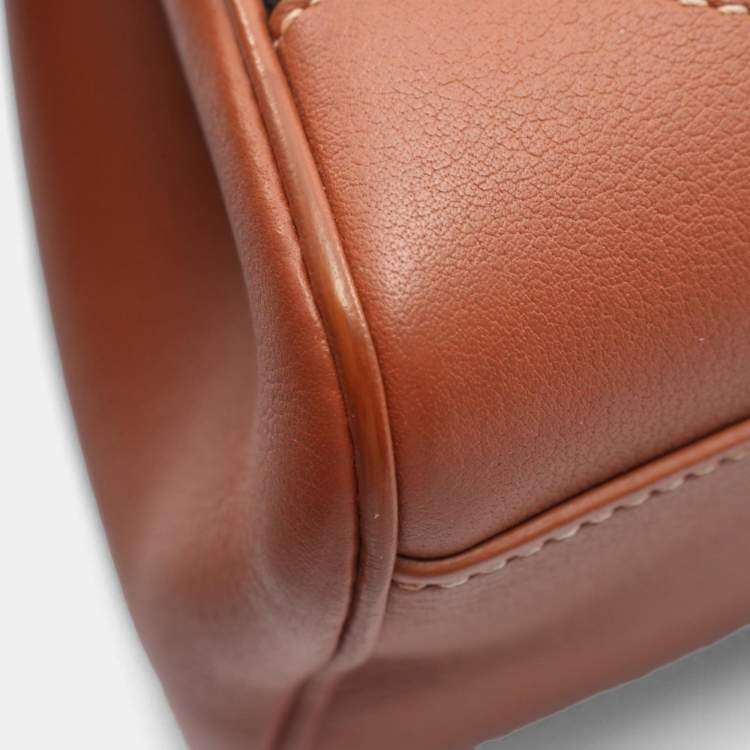 Pre Owned Goyard Saigon Mini Handbag Coated Canvas And Leather Black Brown White