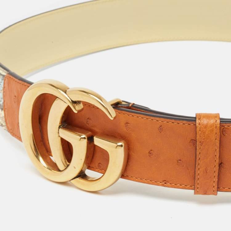 Pre Owned Gucci Multicolor Ostrich Leather and Python GG Marmont Buckle Belt 85CM