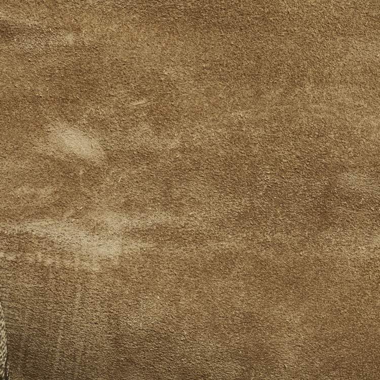 مملوكة مسبقًا Gucci Dionysus Crystals Beige Coated Canvas and Suede Shoulder Bag