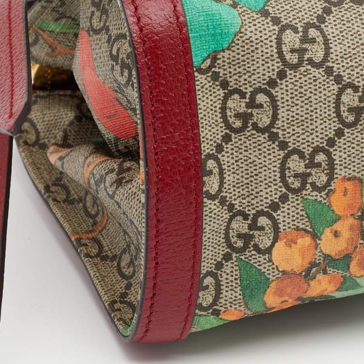 Pre Owned Gucci Multicolor Tian GG Supreme Canvas and Leather Cosmetic Pouch