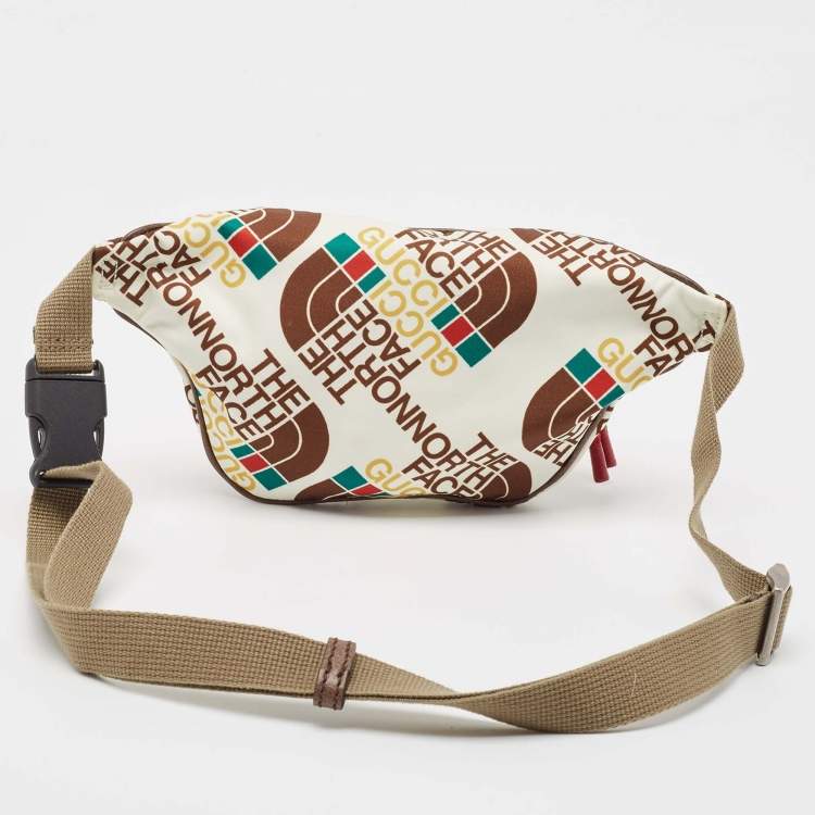 مملوكة مسبقًا Gucci x The North Face Multicolor Print Nylon and Leather Belt Bag