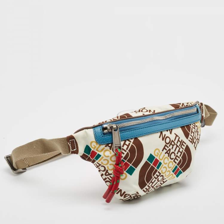 مملوكة مسبقًا Gucci x The North Face Multicolor Print Nylon and Leather Belt Bag