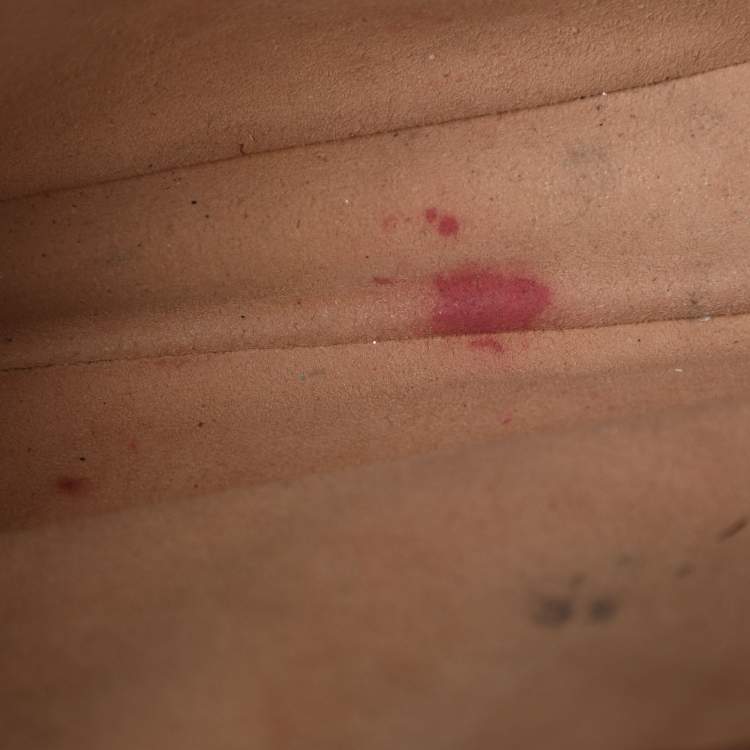 Pre Owned Gucci Jackie Small Beige/Brown GG Supreme Canvas and Leather Hobo