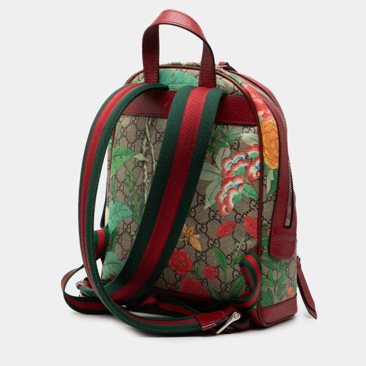 Pre Owned Gucci Brown Red Small GG Supreme Web Tian Backpack