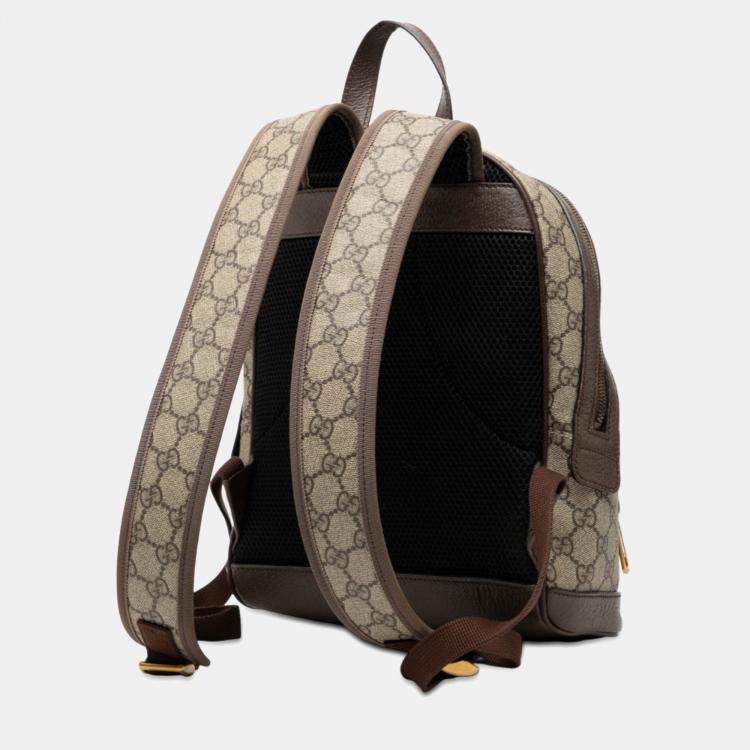 مملوكة مسبقًا Gucci Brown Small GG Supreme Ophidia Web Backpack