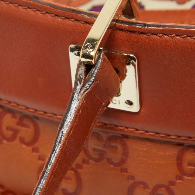 Pre Owned Gucci Brown Guccissima Leather Medium Punch Tote