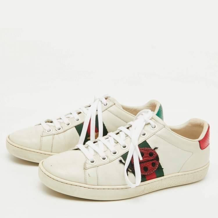 Pre Owned Gucci White/Red Leather and Snake Embossed Leather Ace Pineapple Sneakers Size 36