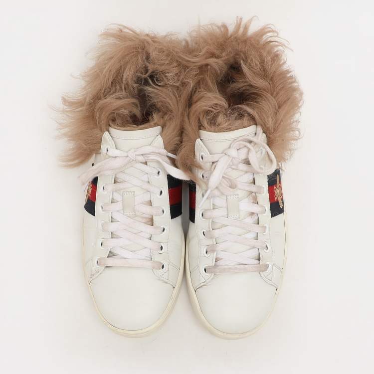 Pre Owned Gucci White Leather Fur Lined Bee Embroidered Web Ace Low Top Sneakers Size 37.5