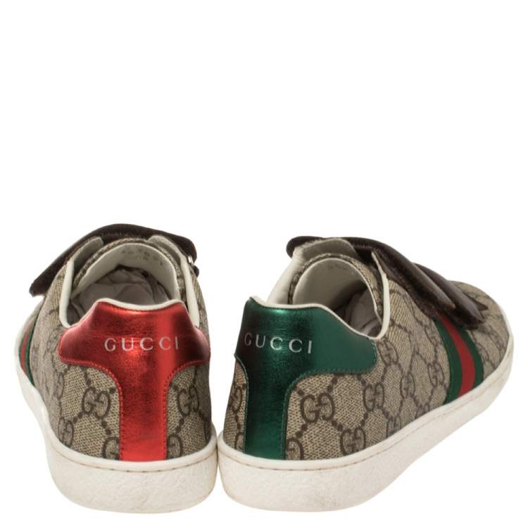 gucci ace velcro