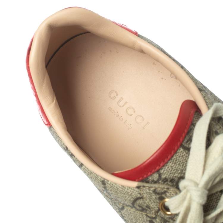 Pre Owned Gucci Brown Coated Canvas And Embossed Python Leather Ace Web Low Top Sneakers Size 39