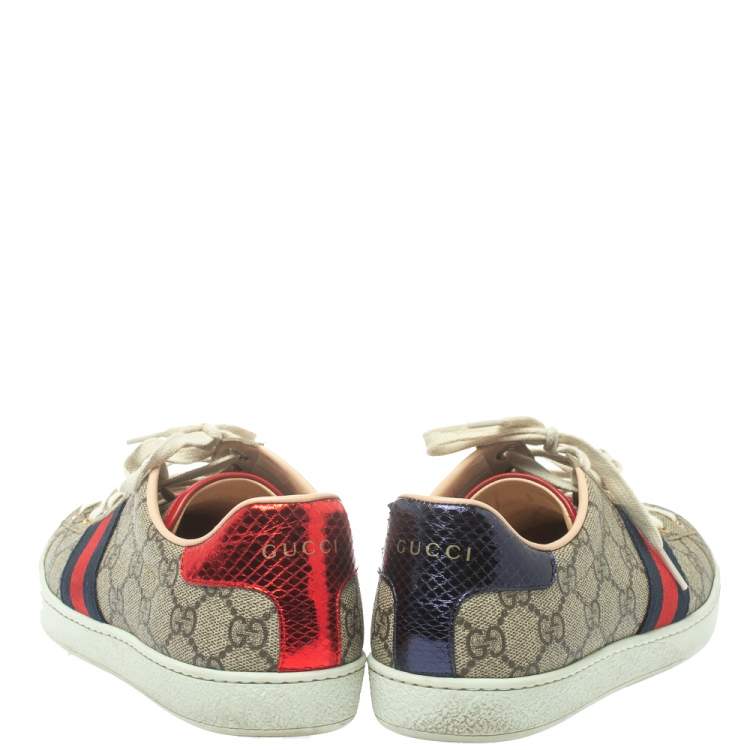 Pre Owned Gucci Brown Coated Canvas And Embossed Python Leather Ace Web Low Top Sneakers Size 39