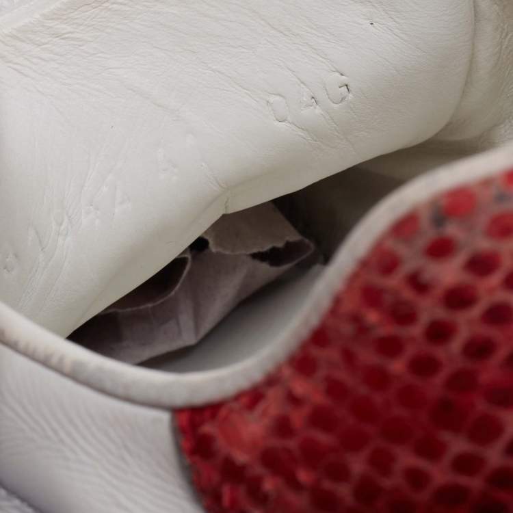 Pre Owned Gucci White Leather And Python Embossed Web Ace Sneakers Size 41