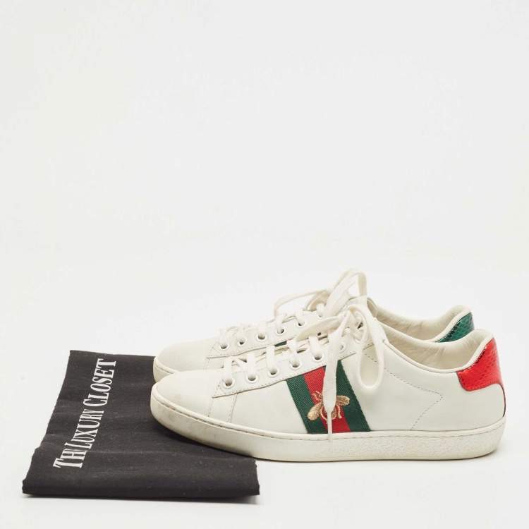 Pre Owned Gucci White Leather Ace Web Low Top Sneakers Size 36