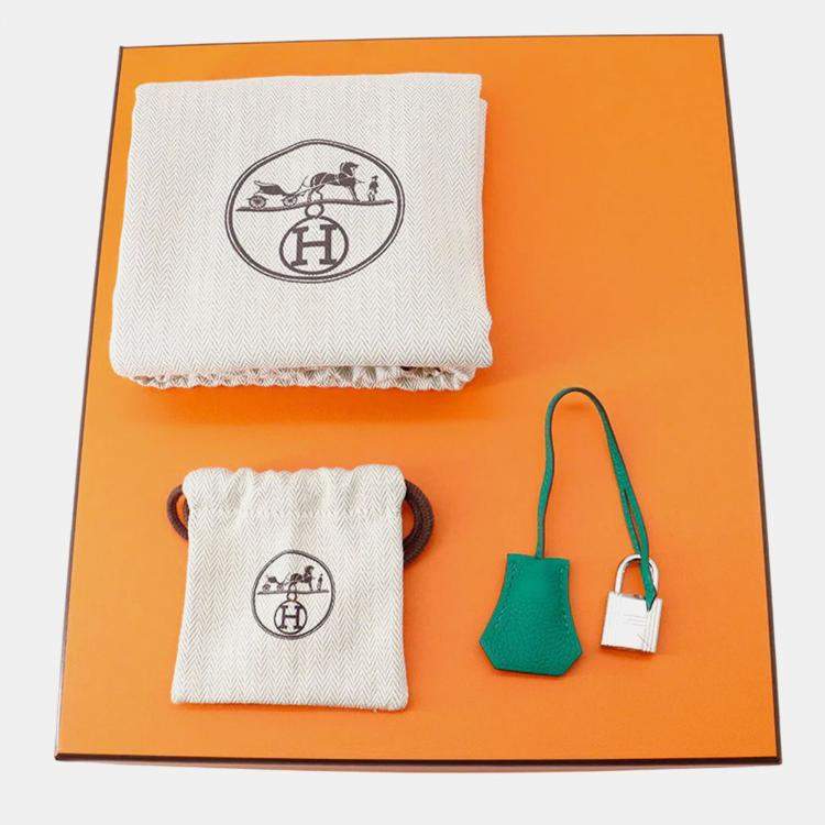 Pre Owned Hermes Birkin 25 Vert Vertigo Togo Leather Handbag