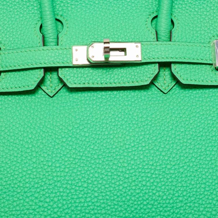 Pre Owned Hermès Vert Comic Togo Leather Palladium Finish Birkin 25 Bag