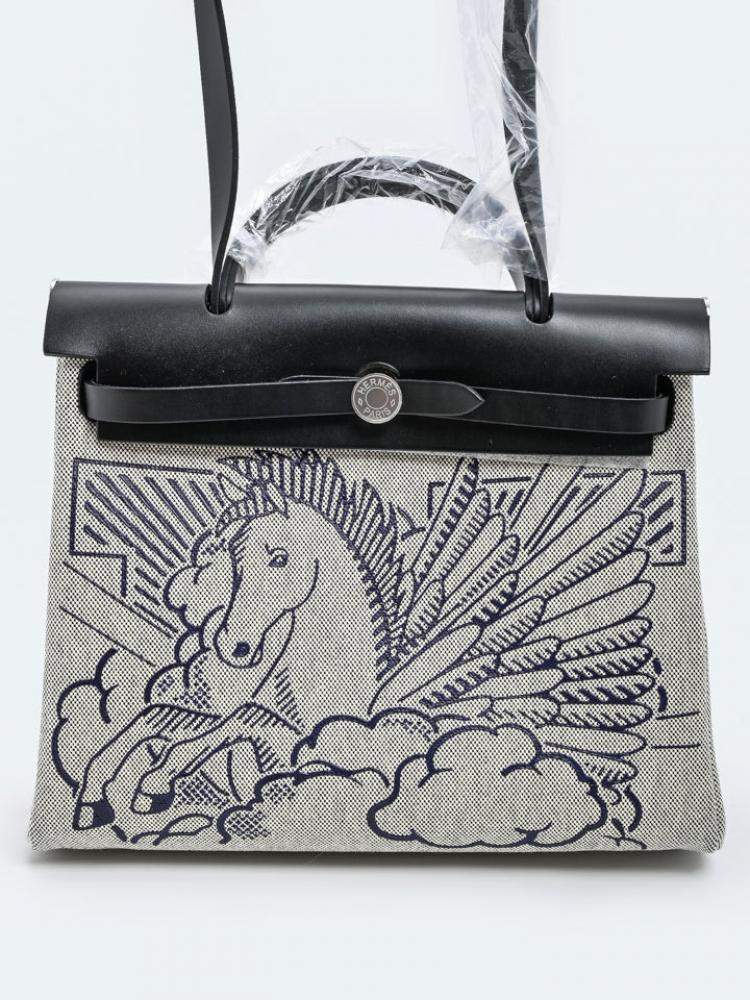 Pre Owned Hermes Grey Canvas Pegase Pop Herbag Zip 31 bag