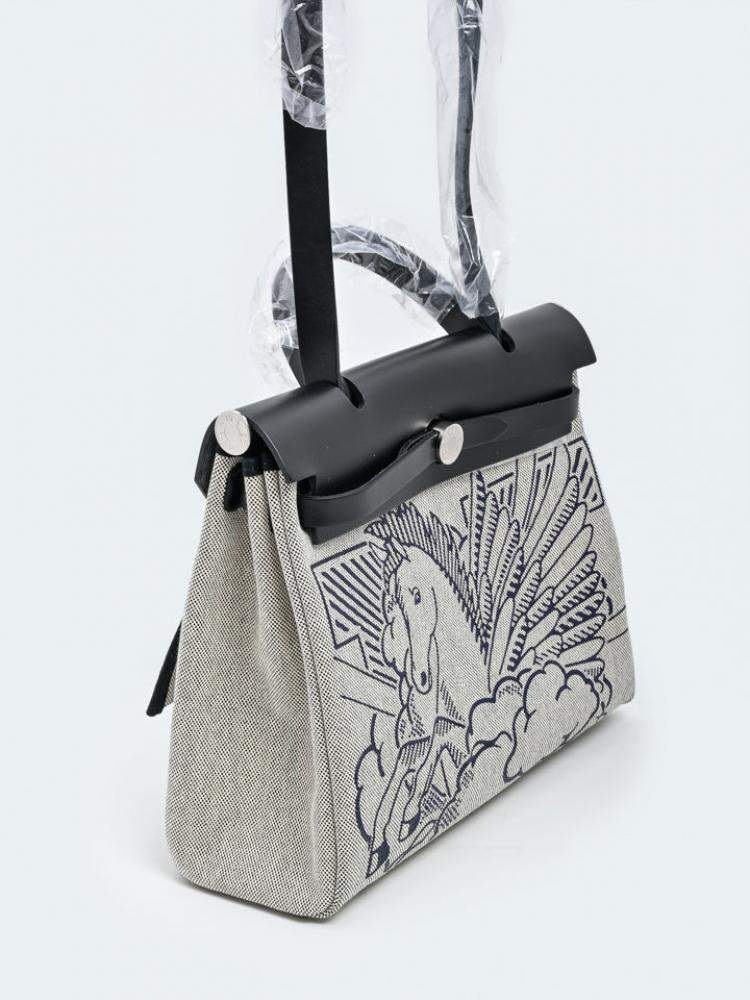 Pre Owned Hermes Grey Canvas Pegase Pop Herbag Zip 31 bag