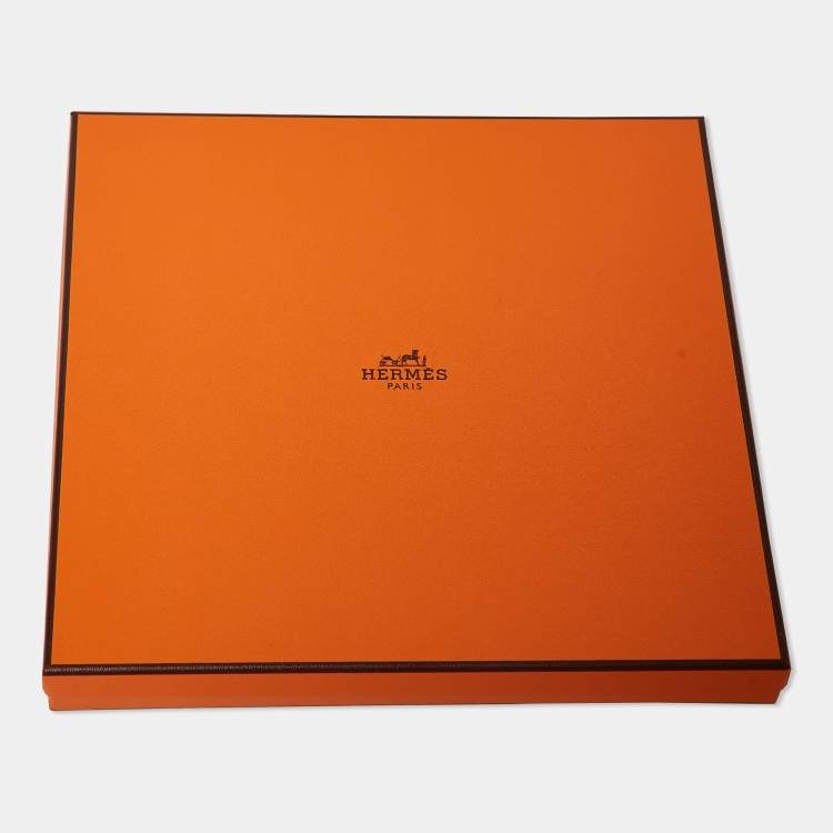 Pre Owned Hermès Blue/Pink Printed Silk Double Face BNIB Wow Scarf