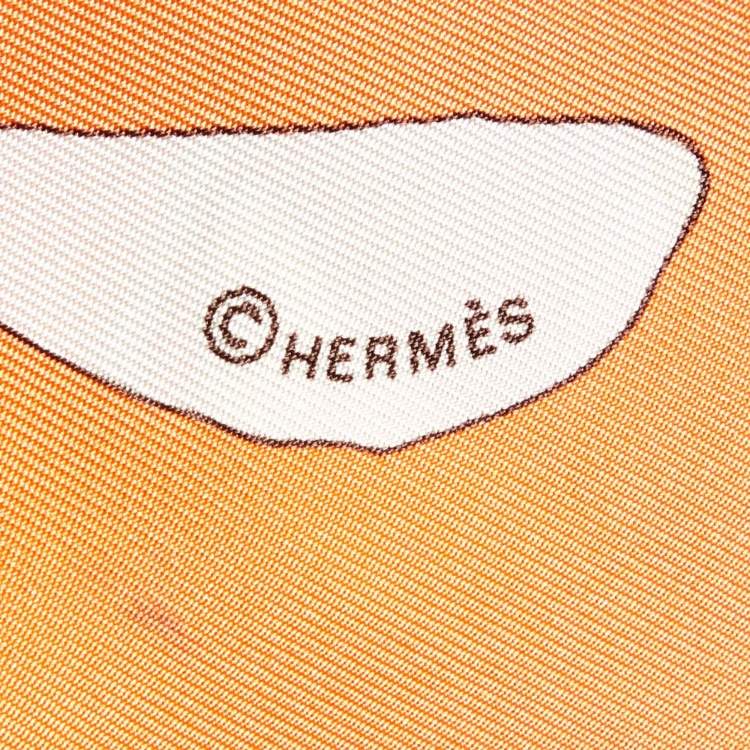 Pre Owned Hermes Orange Institut Pasteur Silk Scarf