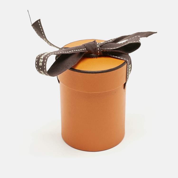 Pre Owned Hermès Blue/Multicolor Rayures D'ete Silk Twilly 