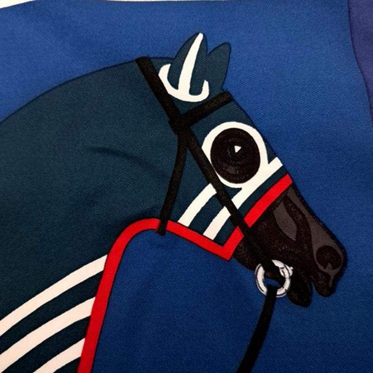 مملوكة مسبقًا Hermes petite scarf