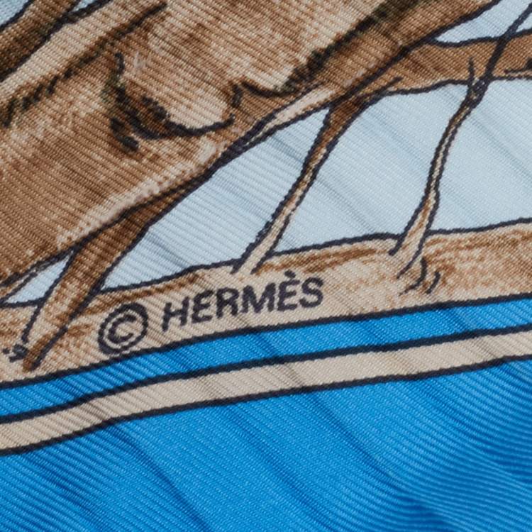 Authentic Hermes Silk Pleated Scarf in Box Used EXCELLENT