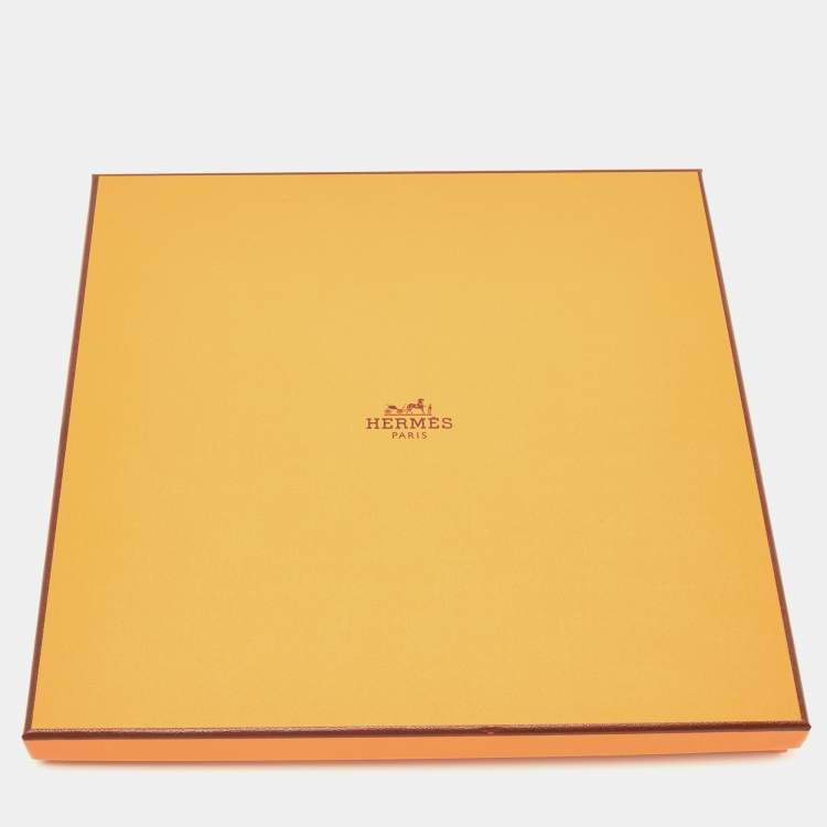 Pre Owned Hermes Light Green Tatersale En Zigzag Printed Silk Square Scarf