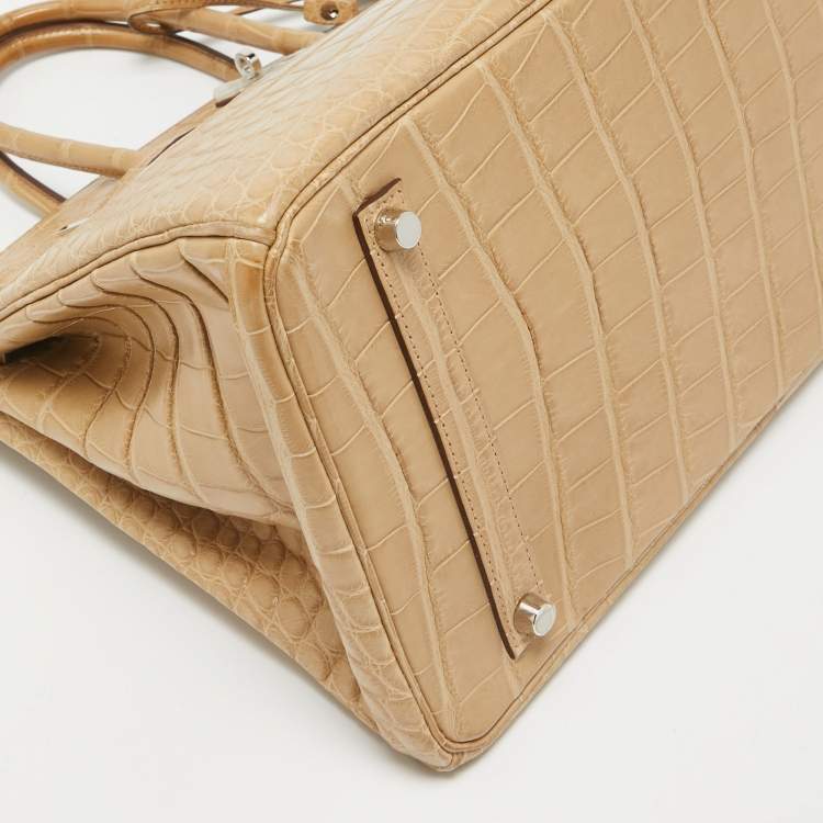 Pre Owned Hermes Poussiere Matte Alligator Palladium Finish Birkin 35 Bag