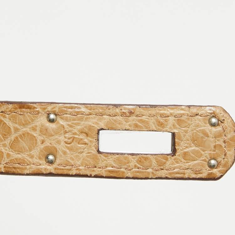 Pre Owned Hermes Poussiere Matte Alligator Palladium Finish Birkin 35 Bag