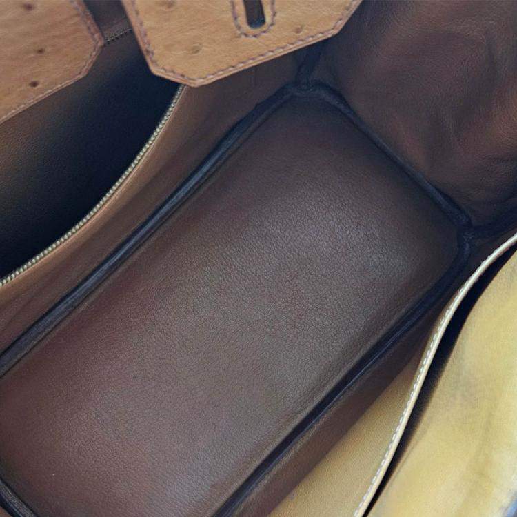 مملوكة مسبقًا Hermes Camel Ostrich Leather Gold Finish Birkin 30 Handbag