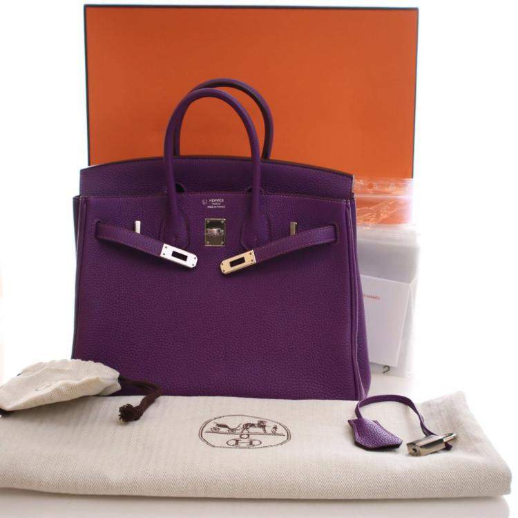 مملوكة مسبقًا Hermes Anemone Togo Birkin 25