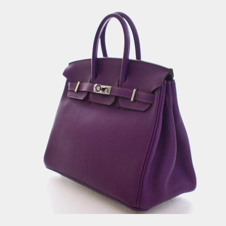 مملوكة مسبقًا Hermes Anemone Togo Birkin 25