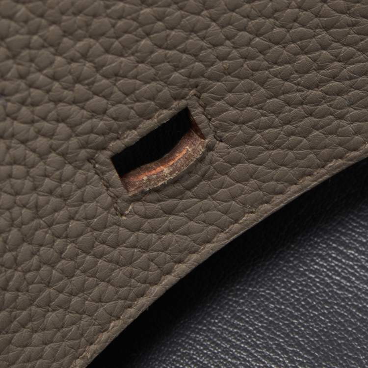 Pre Owned Hermès Etain/Graphite/Gris Fonce Clemence Leather and Lizard Permabrass Finish Birkin 35 Bag