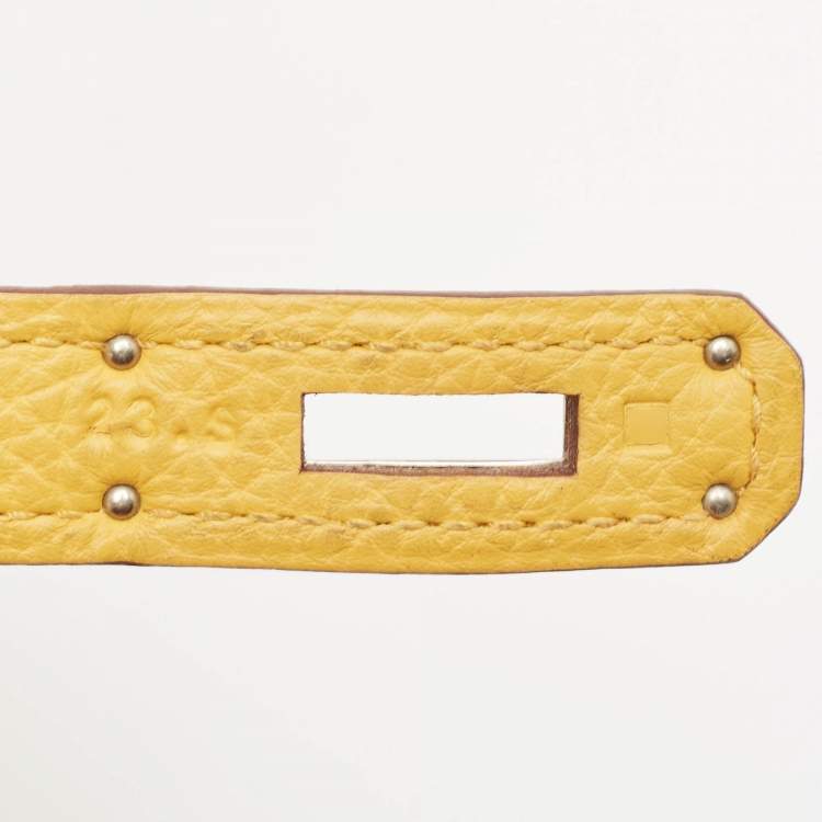 Pre Owned Hermes Soleil Togo Leather Palladium Finish Birkin 35 Bag