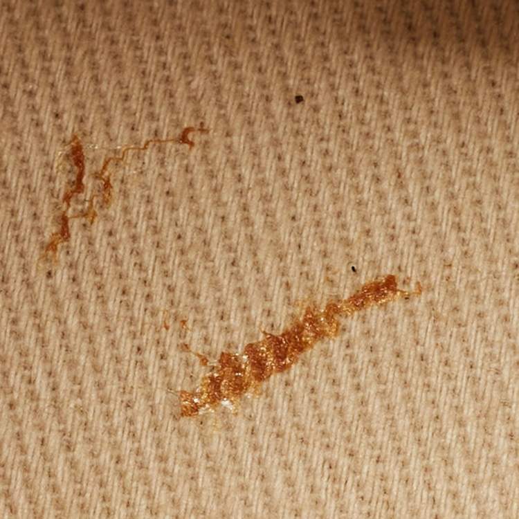 Pre Owned Jacquemus Le Bambino Mini Light Blue Nubuck Leather Top Handle Bag