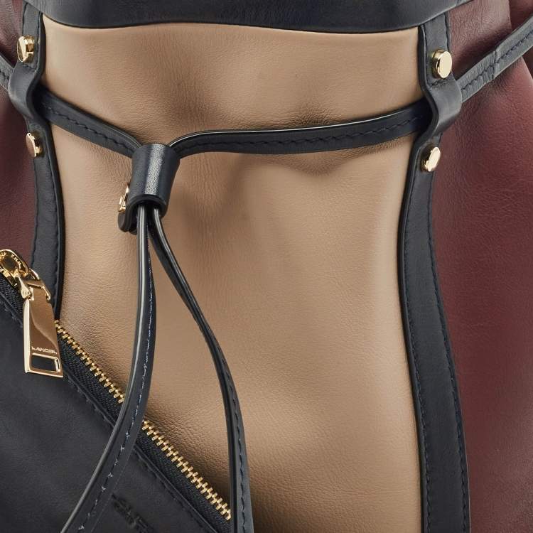 Pre Owned Lancel Multicolor Leather The Bucket Hobo