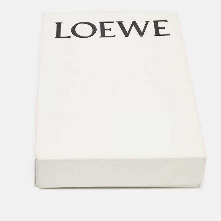 Pre Owned Loewe Blue Print Cotton and Cashmere Fringed Scarf