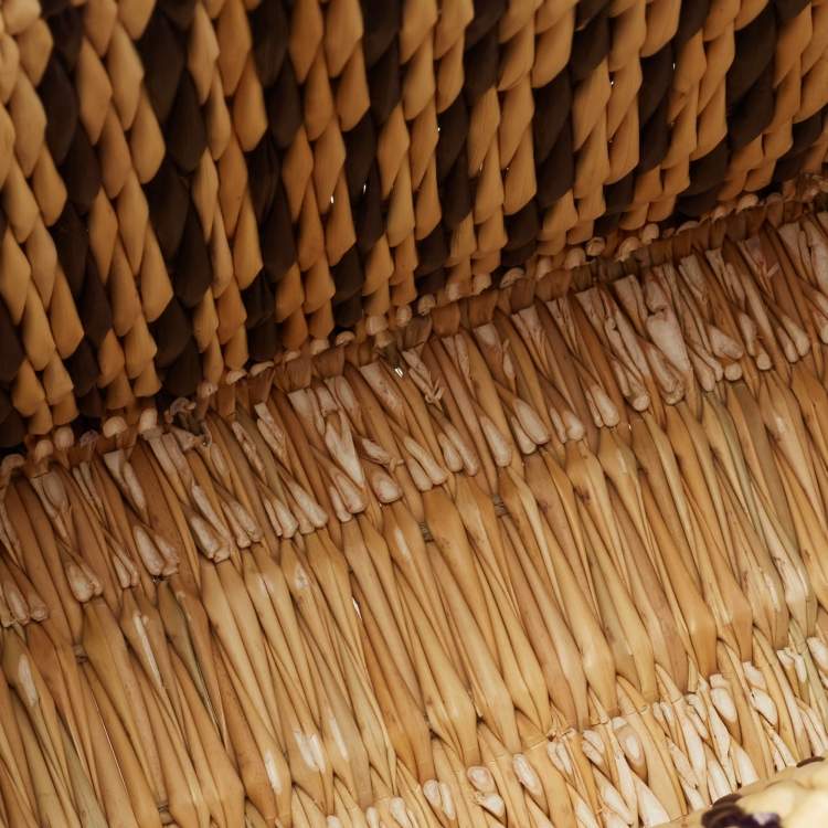 Pre Owned Loewe x Paula Ibiza Tricolor Raffia and Leather Square Basket Tote 