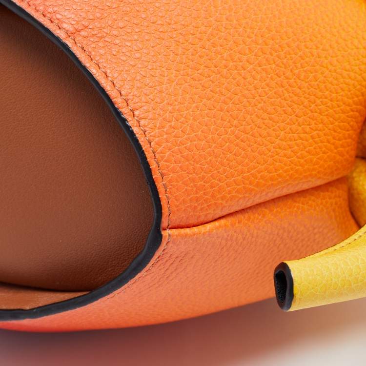 Pre Owned Loewe Multicolor Leather Mini Elephant Crossbody Bag