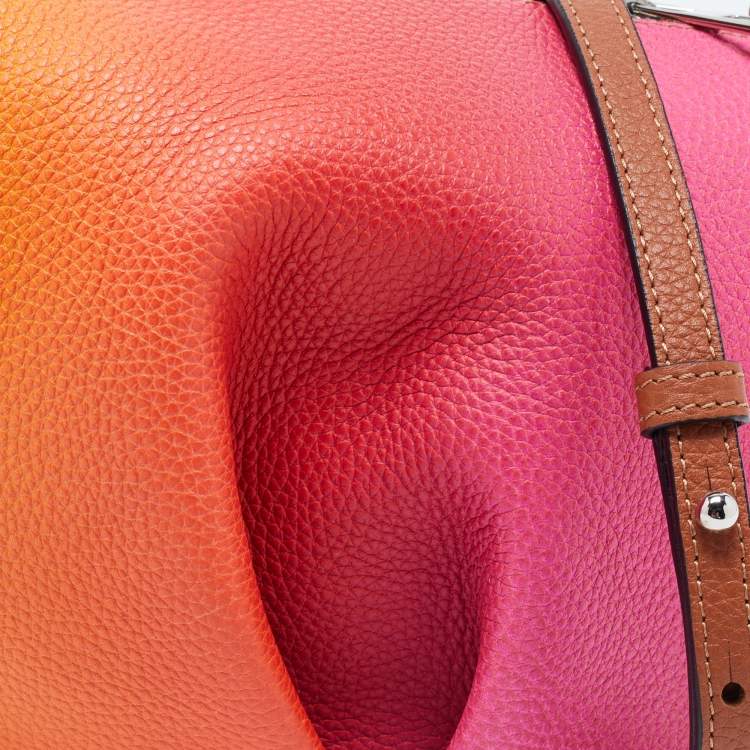 Pre Owned Loewe Multicolor Leather Mini Elephant Crossbody Bag