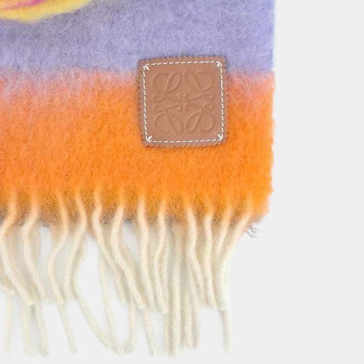 Pre Owned Loewe Multicolor muffler
