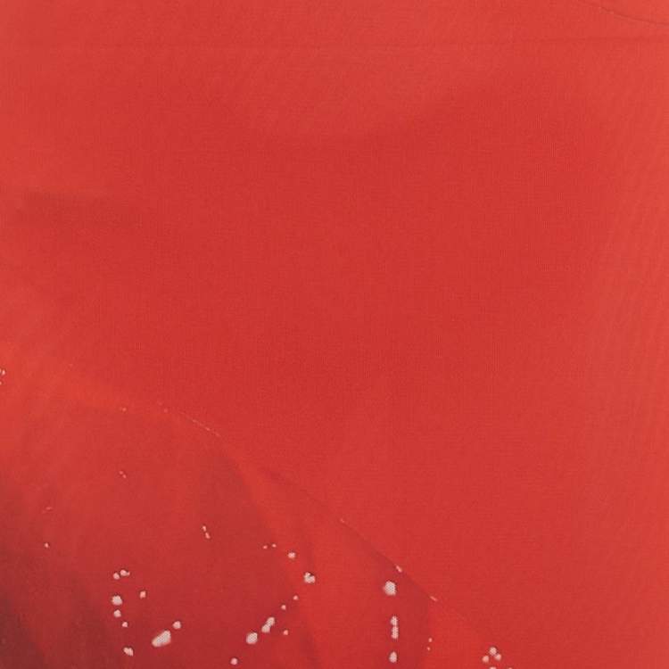 Pre Owned Loewe Red Printed Mesh Midi Dress XS