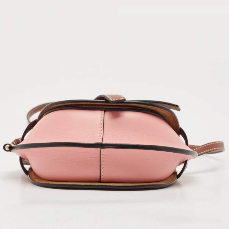 Pre Owned Loewe Tricolor Leather Mini Gate Crossbody Bag