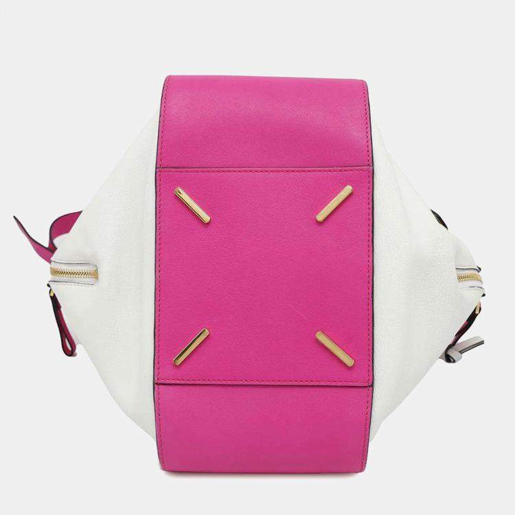 Pre Owned Loewe White Pink Leather Small Hammock Shoulder Bag 